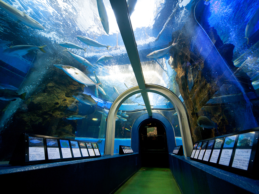 魚津水族館